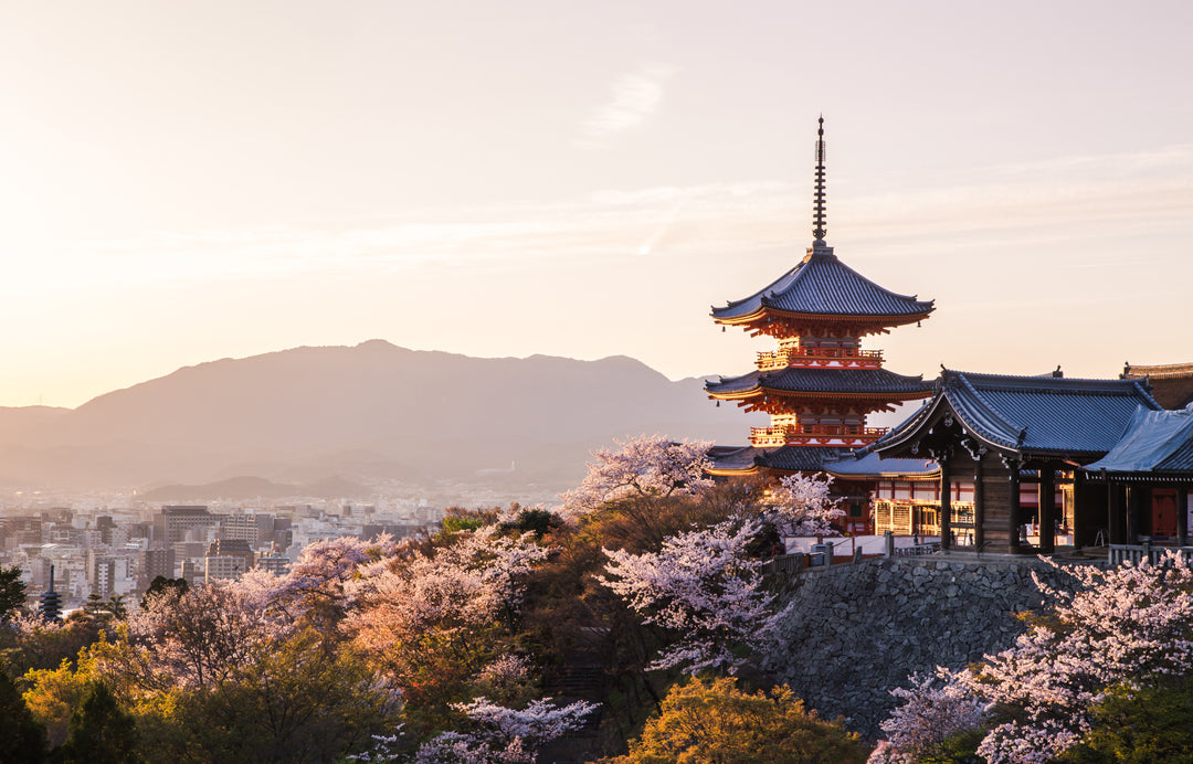 Sunset at Kiyomizu-dera Temple with cherry blossoms during spring time in Kyoto, Japan