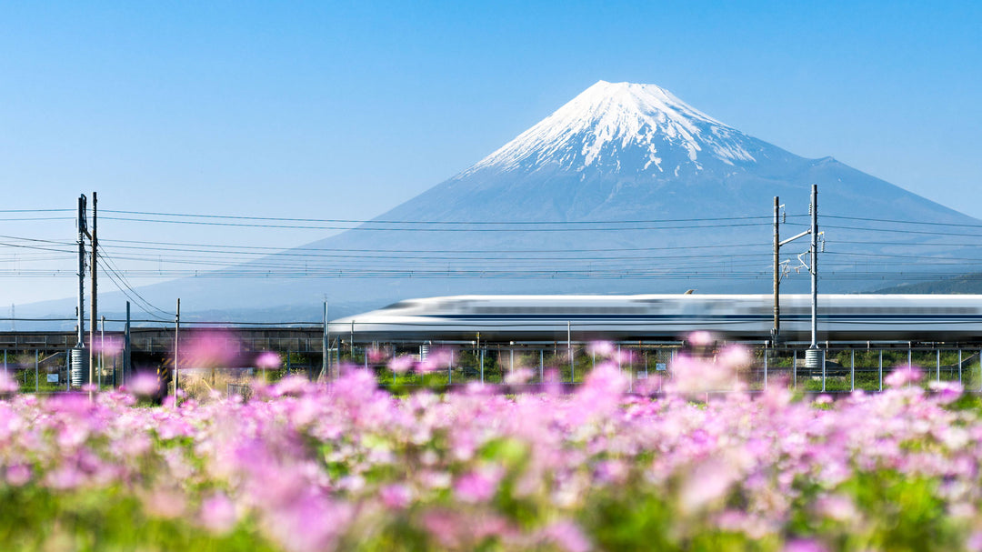 What to Do in Japan in September