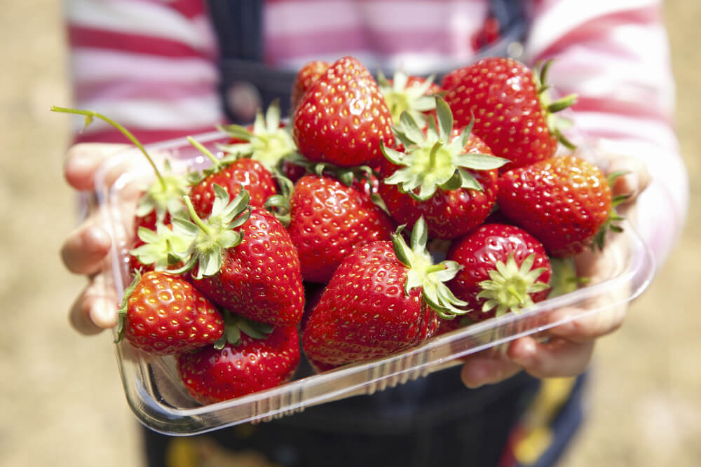 Punnet of Japanese strawberries