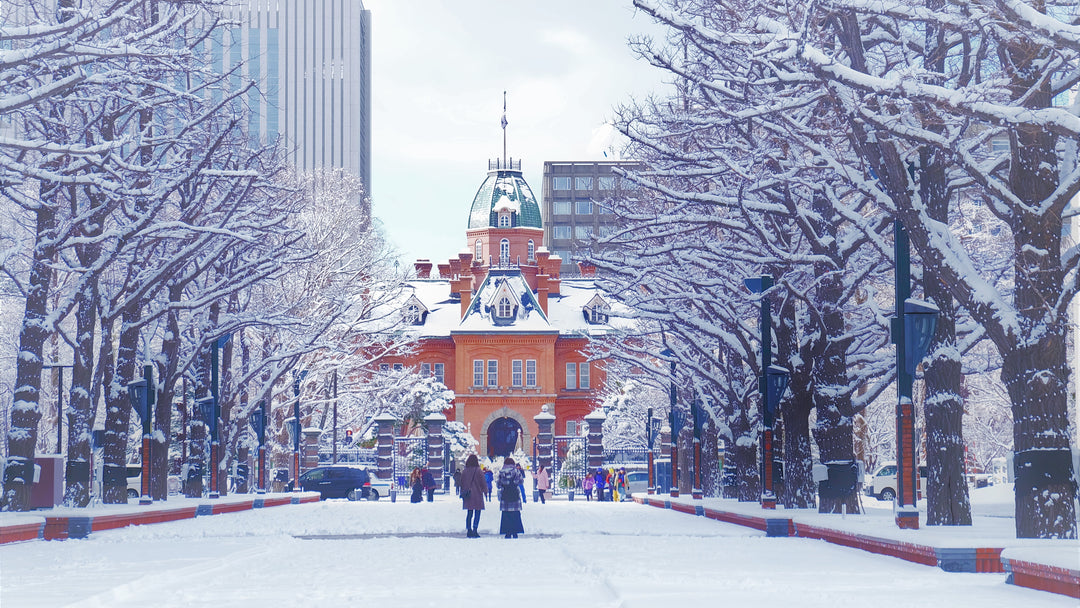 Top Things to do in Hokkaido in Winter
