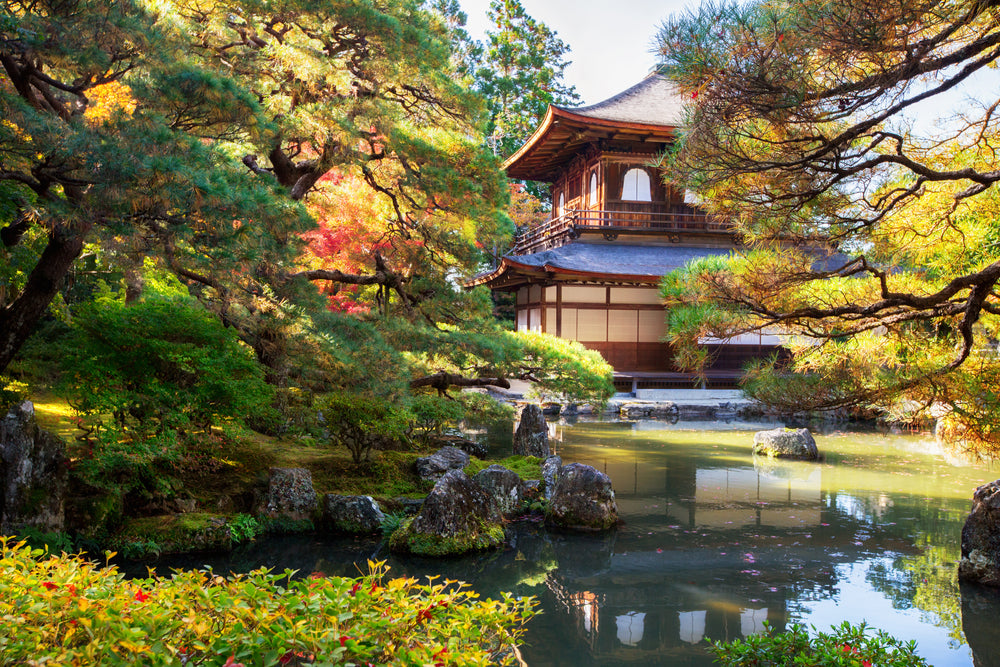 Everything You Need To Know About Momijigari (Leaf Peeping)!
