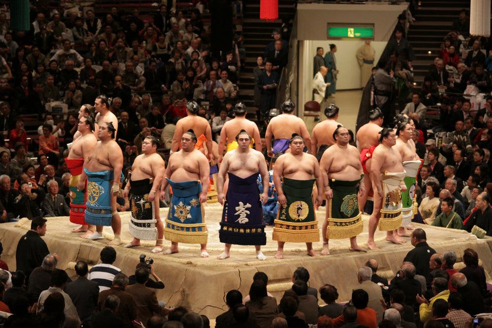  High rank sumo wrestlers line up for ceremony in the Tokyo Grand Sumo Tournament