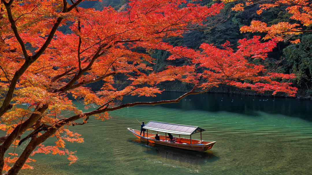 Japanese Holidays & Festivals: November