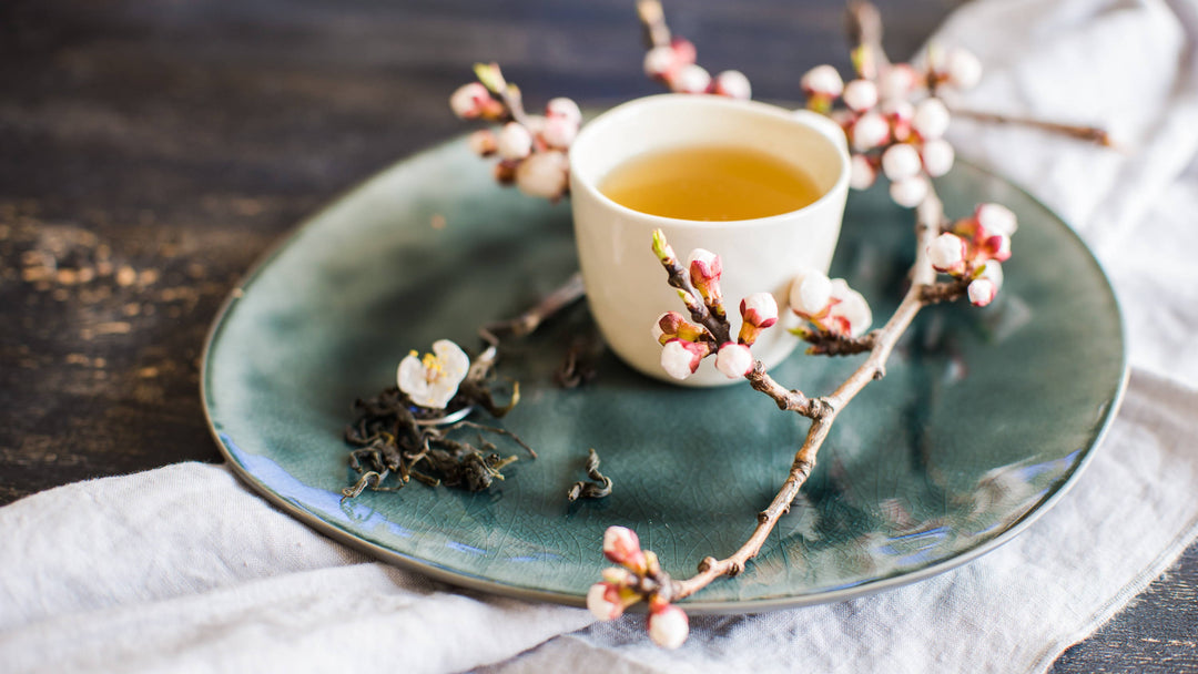 5 Best Japanese Teas for Spring