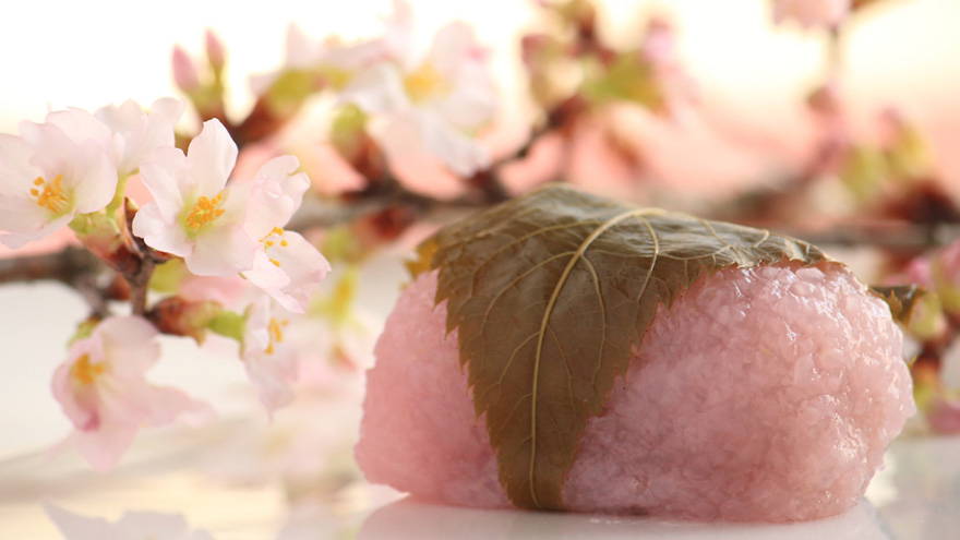 Japanese Spring Snacks and Traditions for Hanami